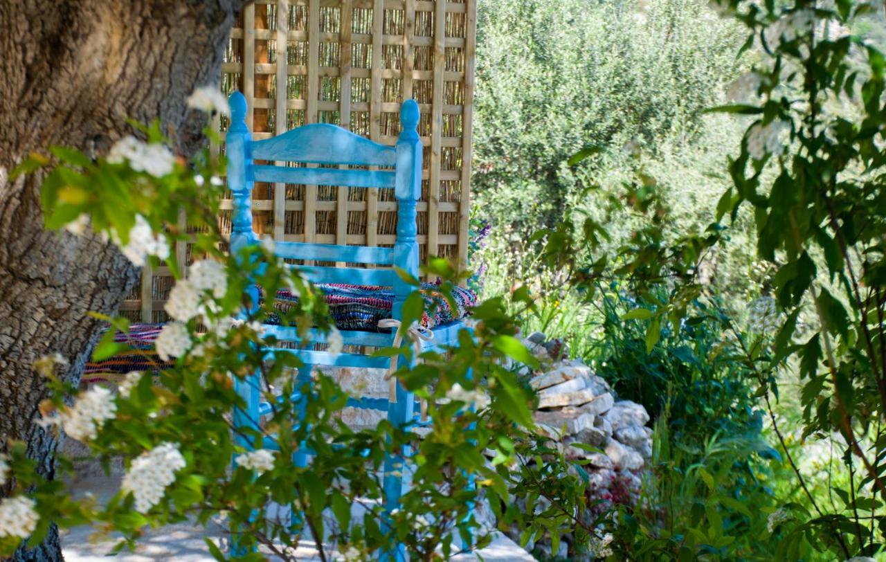 The Olive Cottage - Ithaca Vathy  Eksteriør billede