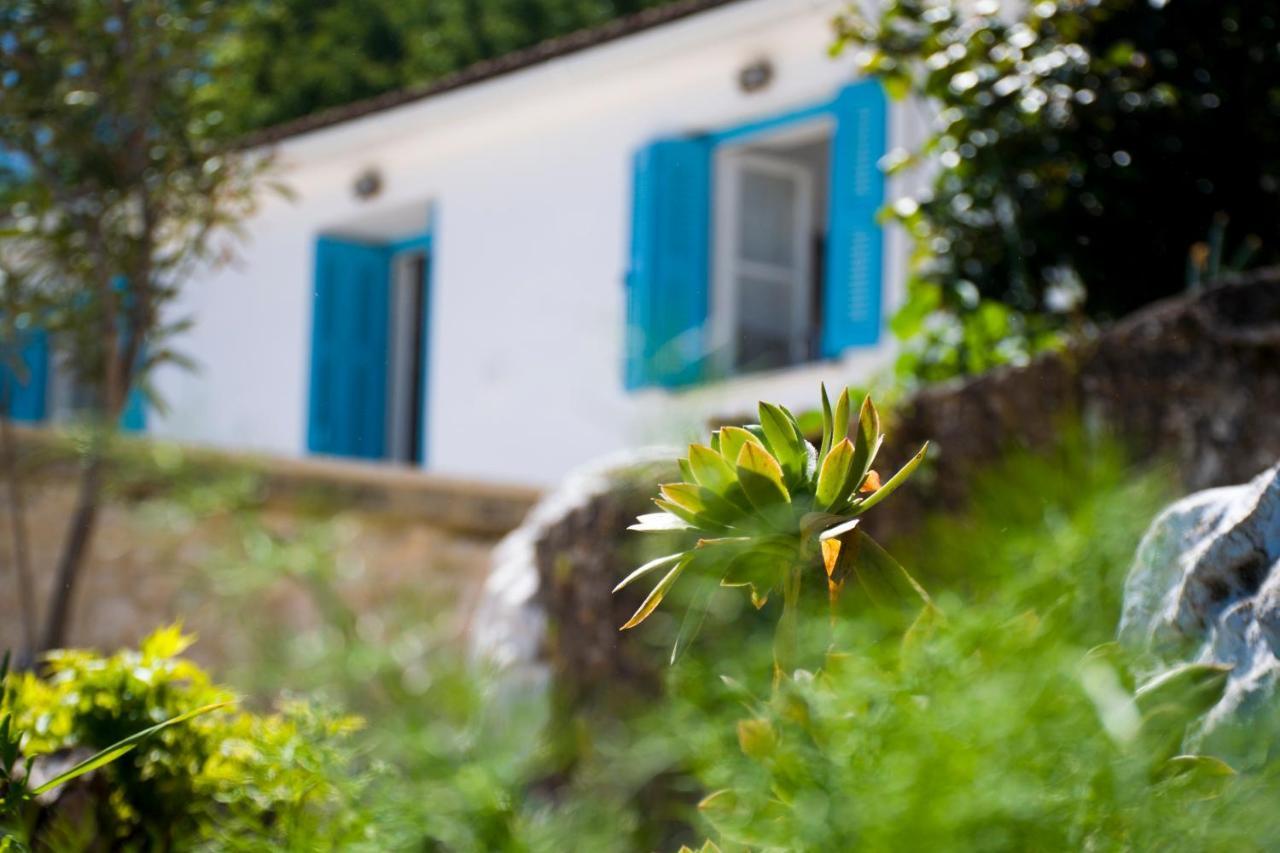 The Olive Cottage - Ithaca Vathy  Eksteriør billede